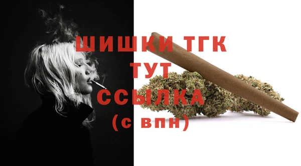 МДМА Горняк