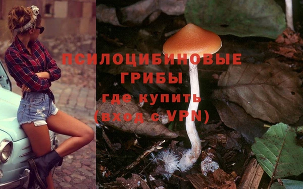 МДМА Горняк