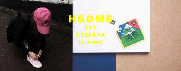 скорость Шали